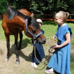 finał podróży DSC_0415-1024x692