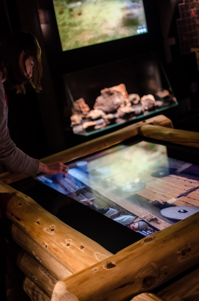 Fot. Piotr Tomaszewski (16)