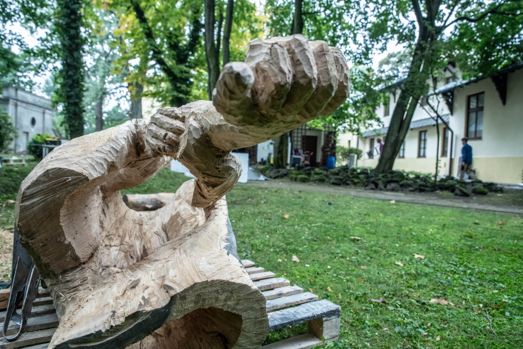 plener rzeźbiarski (3)