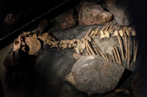 Fot. Piotr Tomaszewski (10)