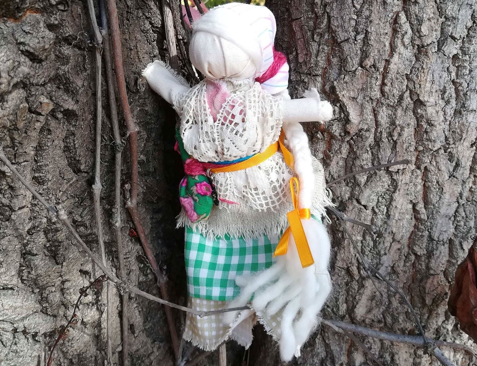 72239253_1767490503557893_6912921777567956992_n