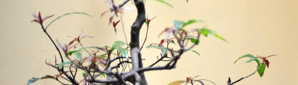 Muzeum Starożytnego Hutnictwa Mazowieckiego